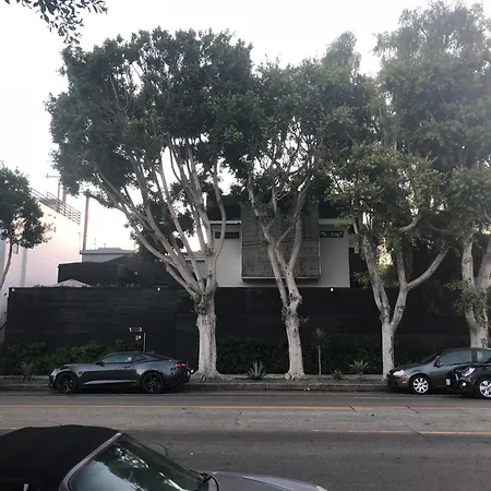 Venice Beach Studio With Large Private Patio Steps To The Beach Los Angeles Exterior photo